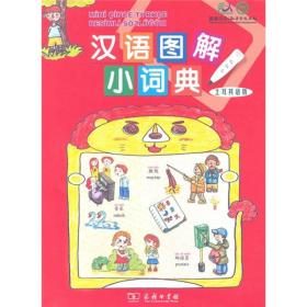 汉语图解小词典