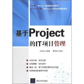 基于Project的IT项目管理（