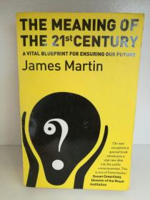 The Meaning of the 21st Century：A Vital Blueprint for Ensuring Our Future by James Matin （未来学） 英文原版书