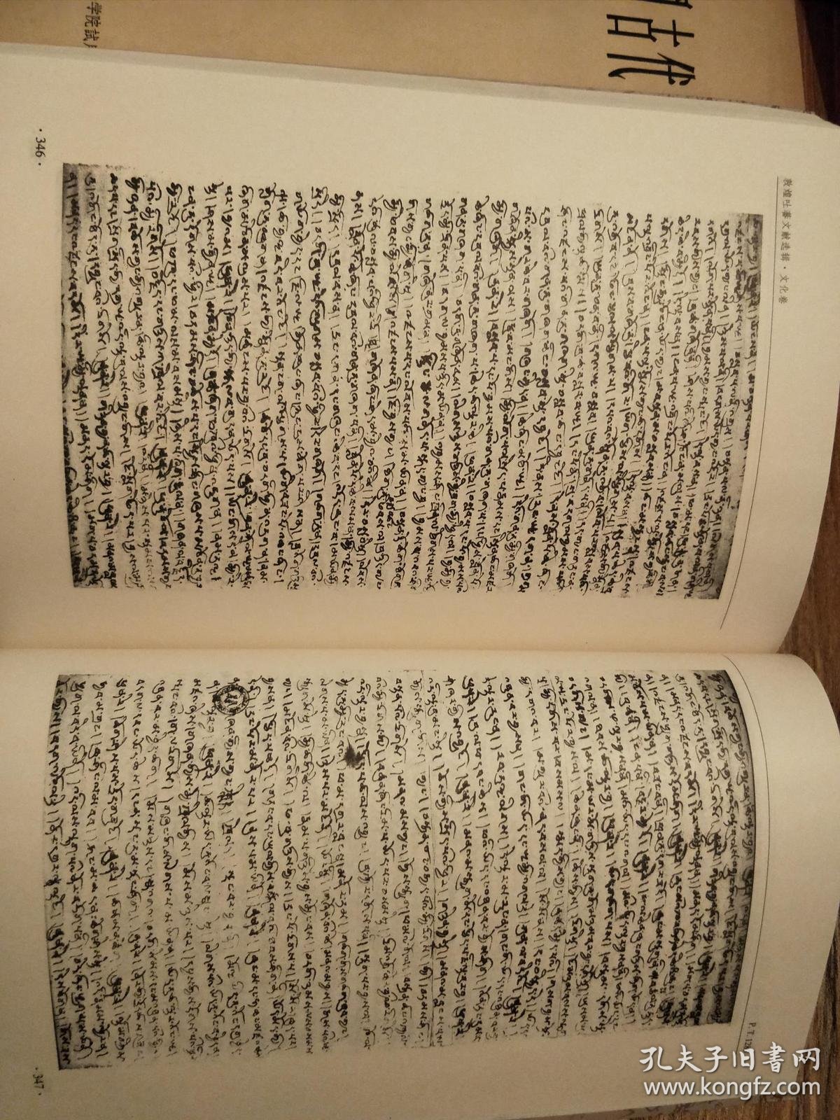 敦煌吐蕃文献选辑(文化卷)