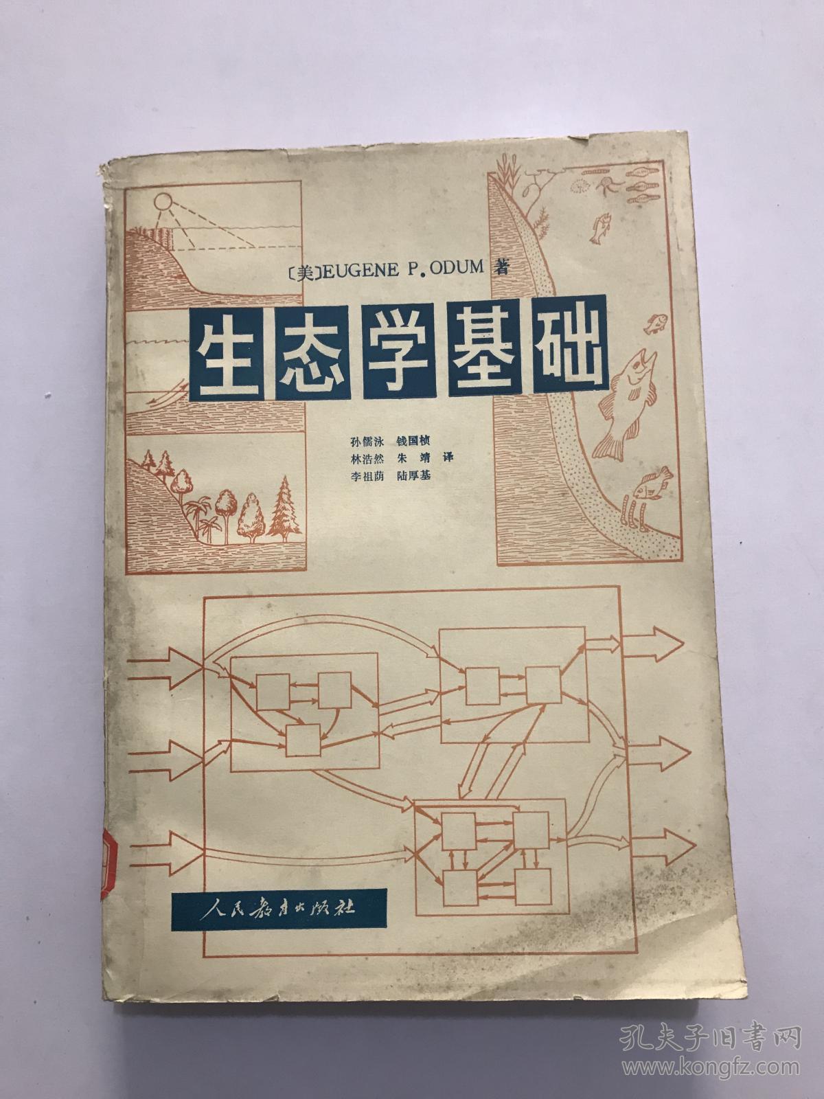 生态学基础.