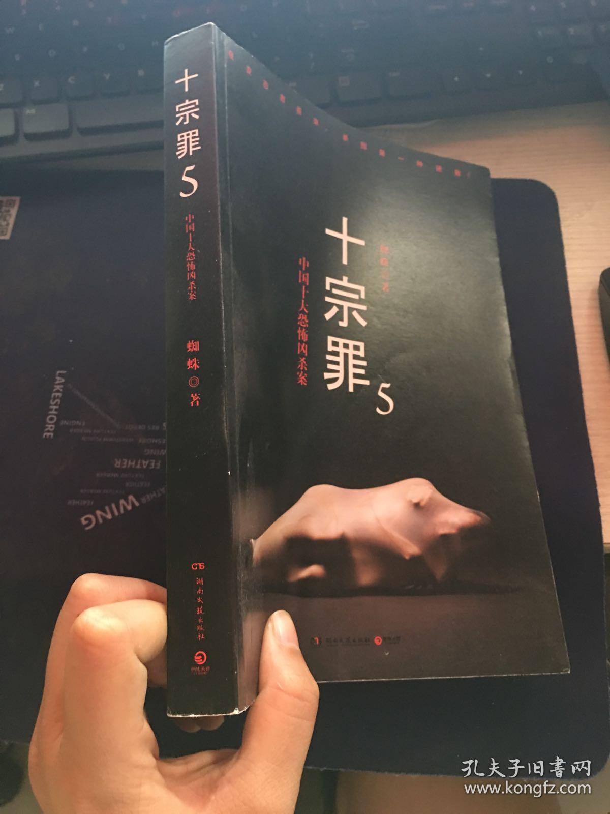 十宗罪5中国十大凶杀案