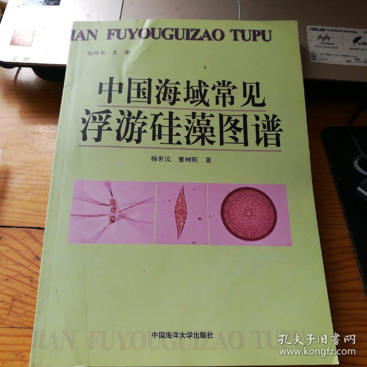 中国海域常见浮游硅藻图谱