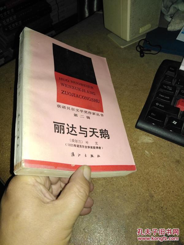 (获诺贝尔文学奖作家丛书)丽达与天鹅(叶芝诗选,裘 小龙 译)