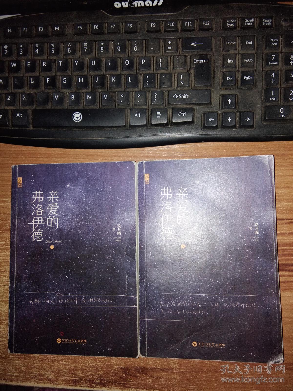 亲爱的弗洛伊德上下