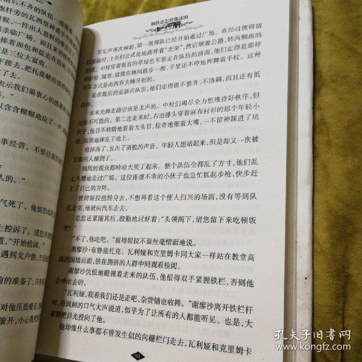 钢铁是怎样炼成的(全译本)