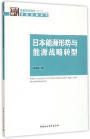 日本能源形势与能源战略转型（国家智库报告2016）