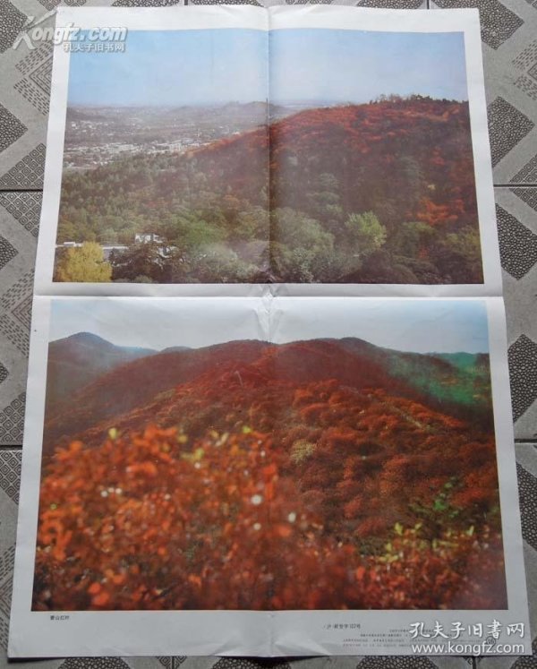 由物及人,赞颂了导游刘四大爷为杨朔《香山红叶》原文香山红叶全景