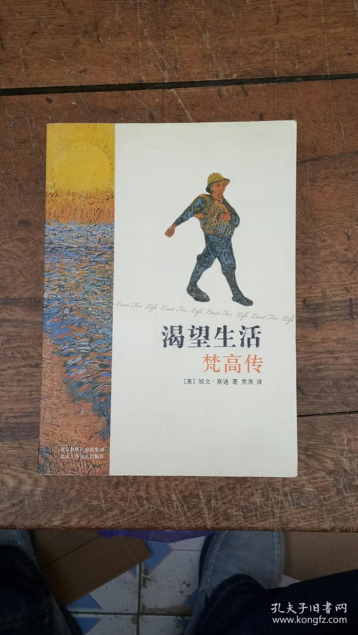 渴望生活 梵高传