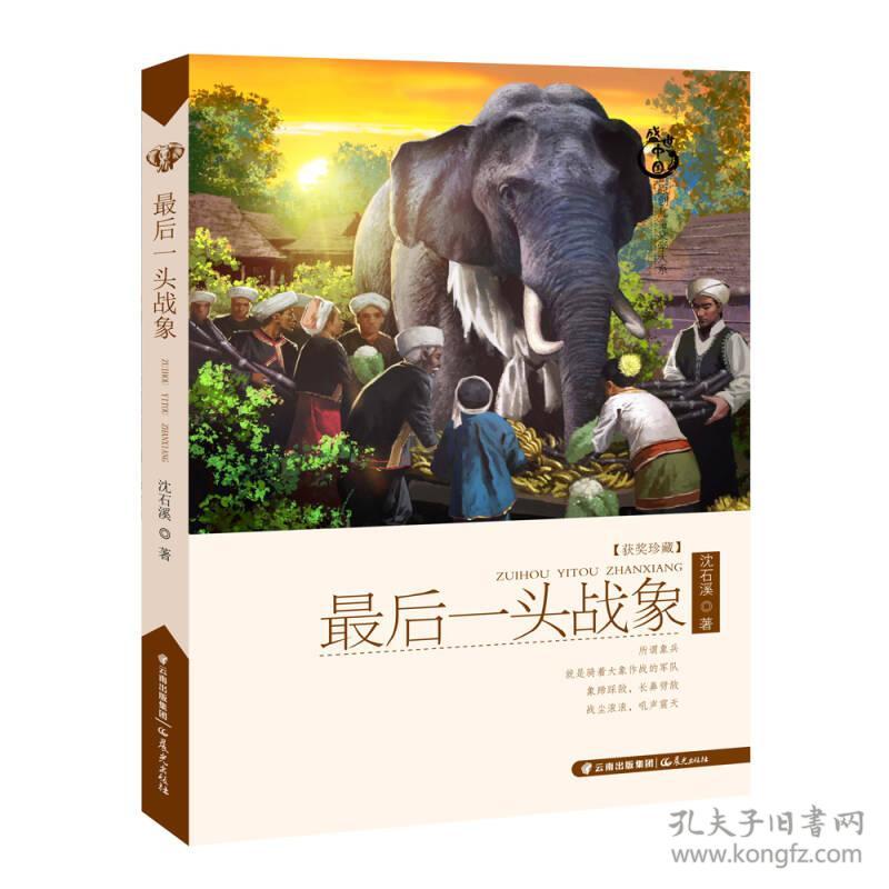 盛世中国原创儿童文学大系《最后一头战象》