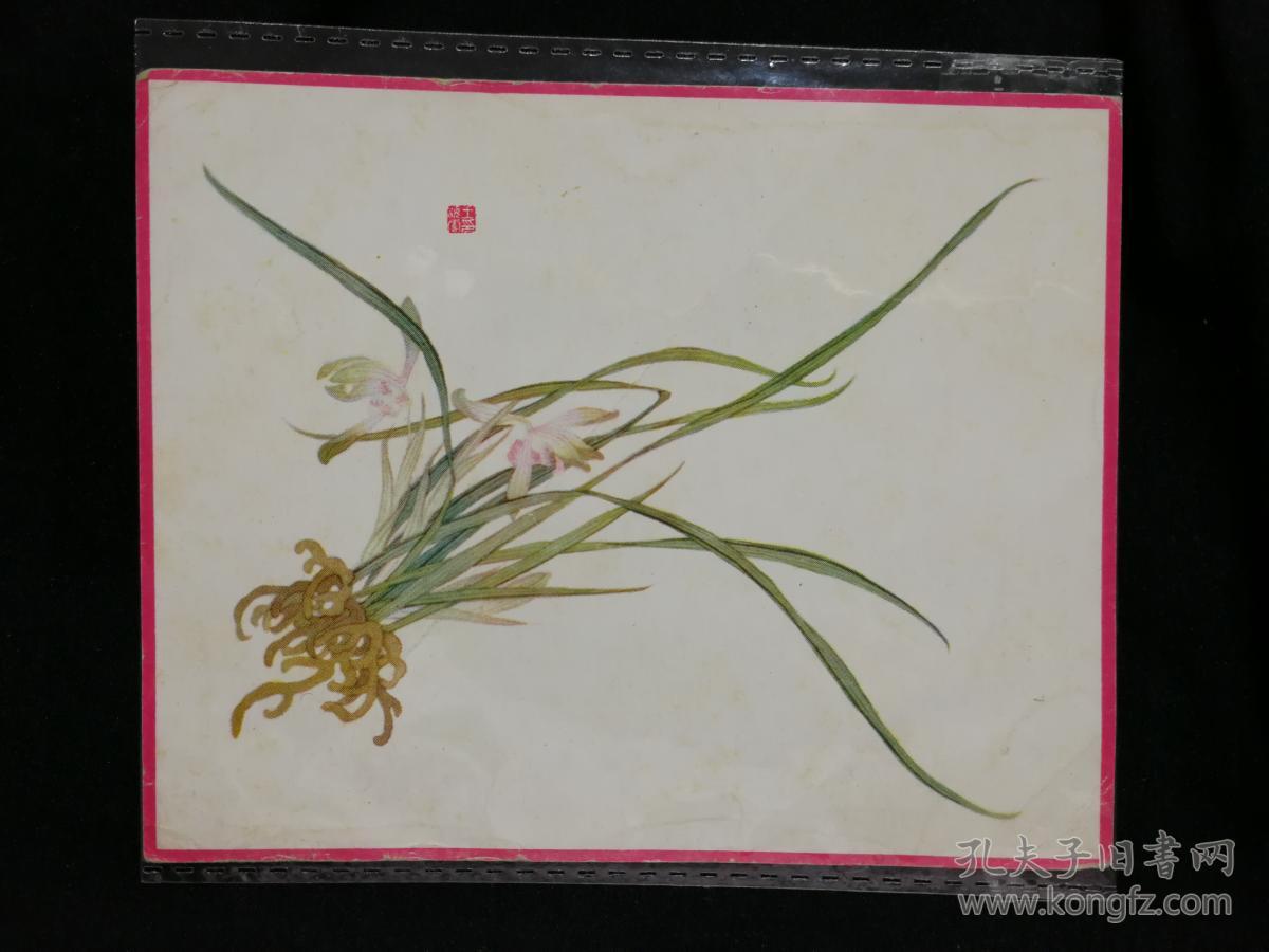 小小年历片收藏快乐多1955年兰花王海云绘人民美术出版社版60开13x10