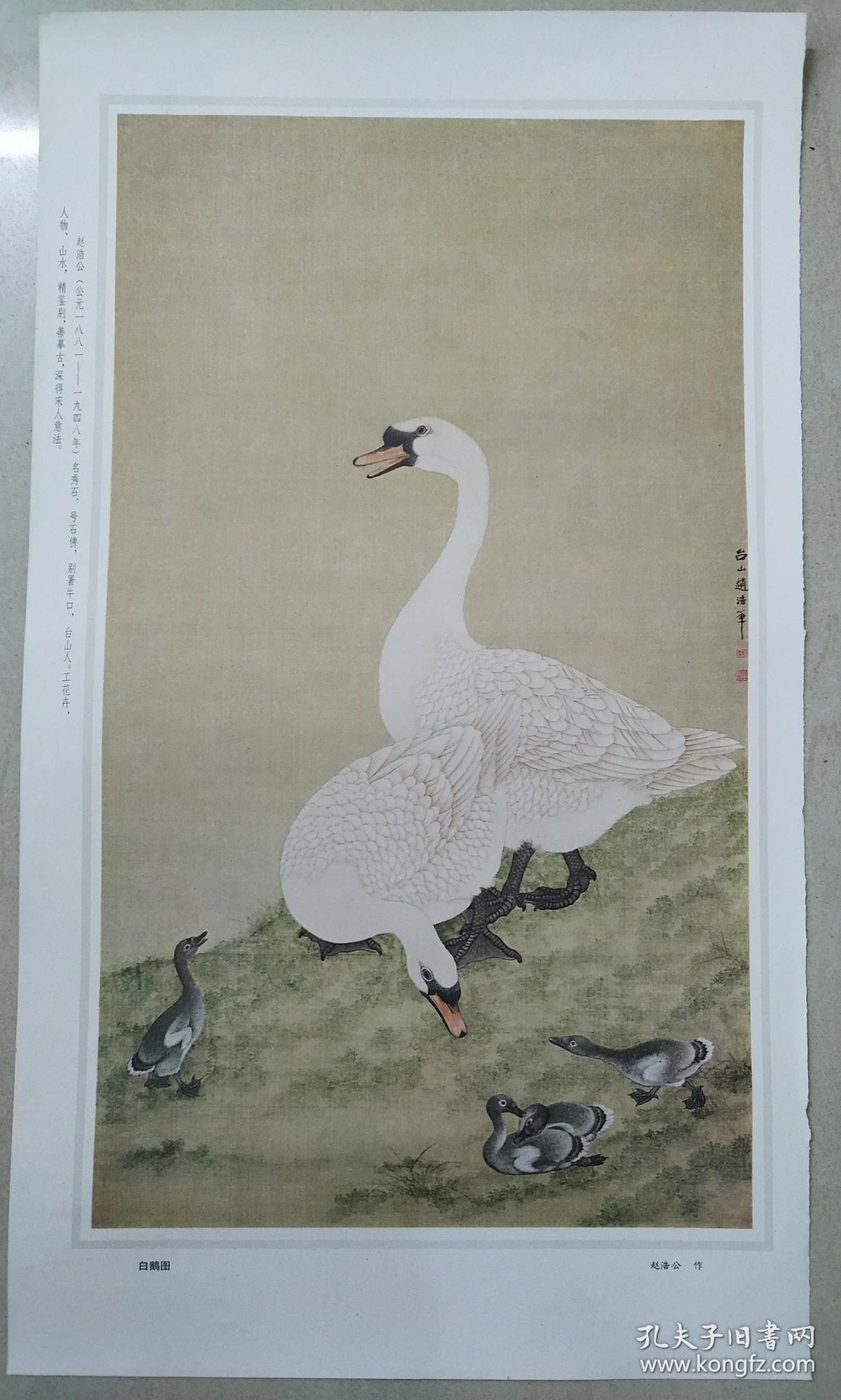 80年代印刷精美画片:黄幻吾 紫藤小鸟> 画页尺寸58*35cm