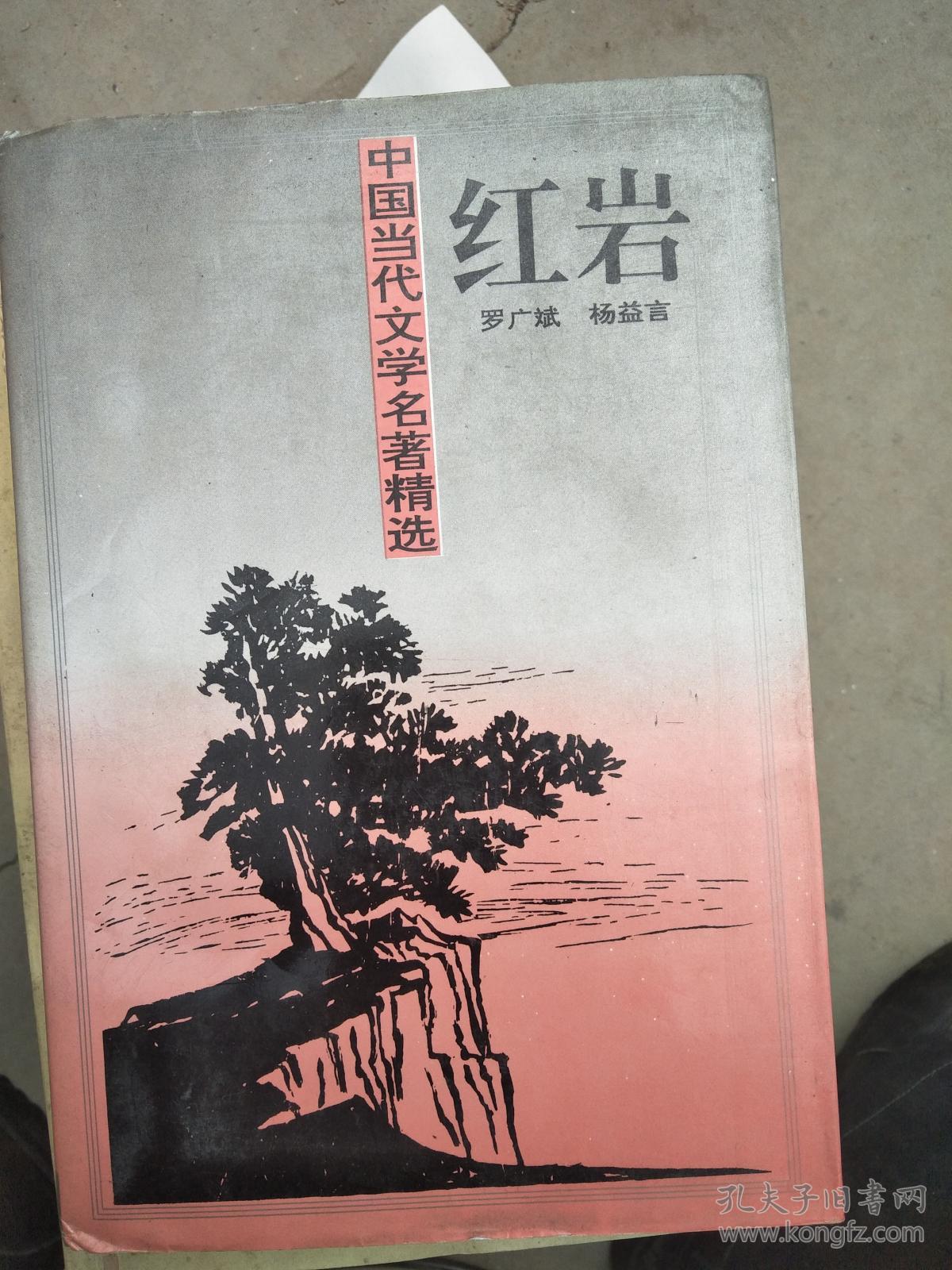 中国当代文学名著精选 红岩