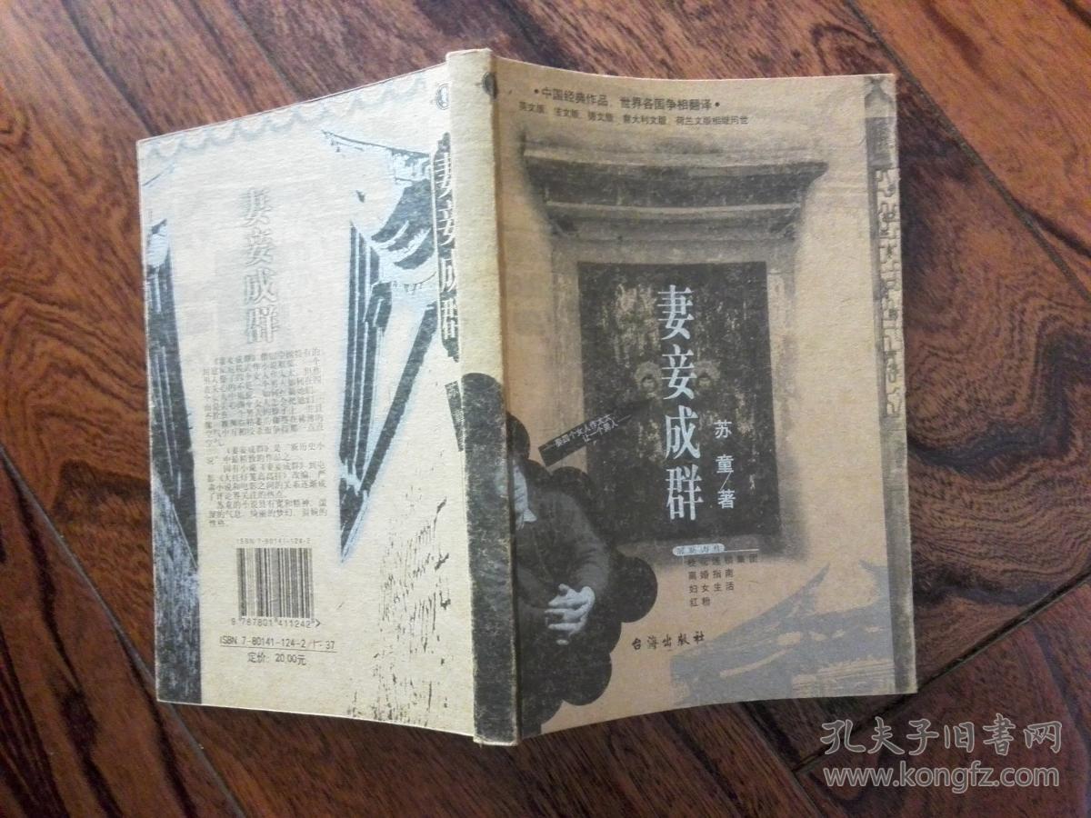 妻妾成群(苏童)_简介_价格_文学书籍_孔网