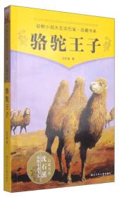 动物小说大王沈石溪 升级版：骆驼王子