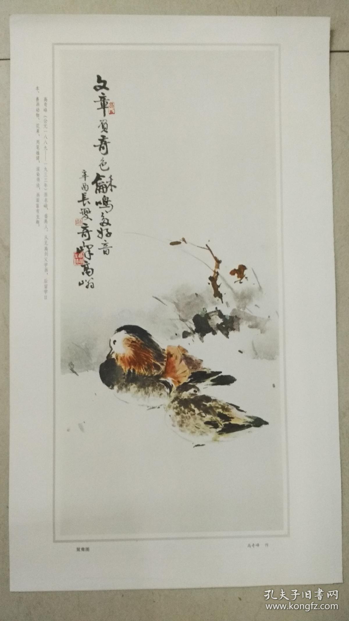 80年代印刷精美画片 著名画家高奇峰 鸳鸯图 画页尺寸51 29 5cm 高奇峰 孔夫子旧书网 80年代印刷精美画片 著名画家高奇峰 鸳鸯图 画页尺寸51 29 5cm 高奇峰 孔夫子旧书网