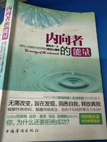 内向者的能量：内向人玩转外向世界的成功心理学