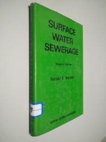 SURFACE WATER SEWERAGE (表面水 排水系统)