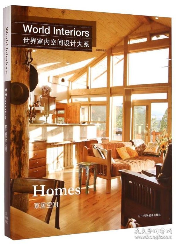 世界室内空间设计大系:家居空间:homes