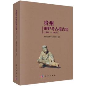 【正版新书】贵州田野考古报告集（1993～2013）