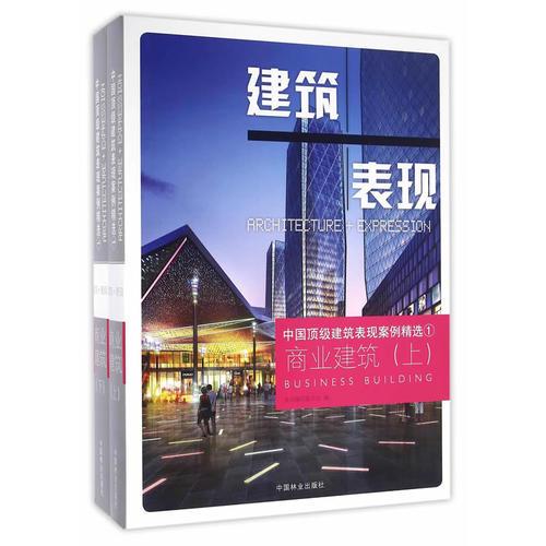 商业建筑(上下)(精)/中国顶级建筑表现案例精选
