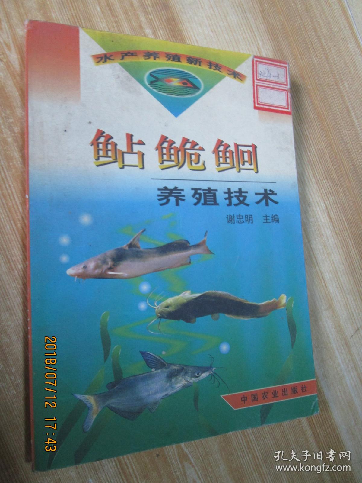 鲇鲍鮰养殖技术(水产养殖新技术)