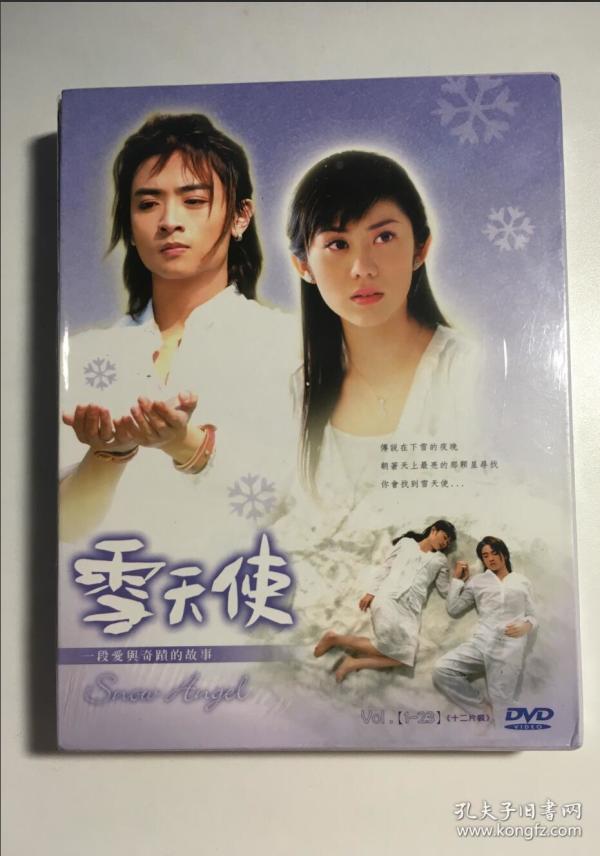 雪天使  toro 王宇婕 颜行书 杨谨华 连续剧     电视剧 12碟