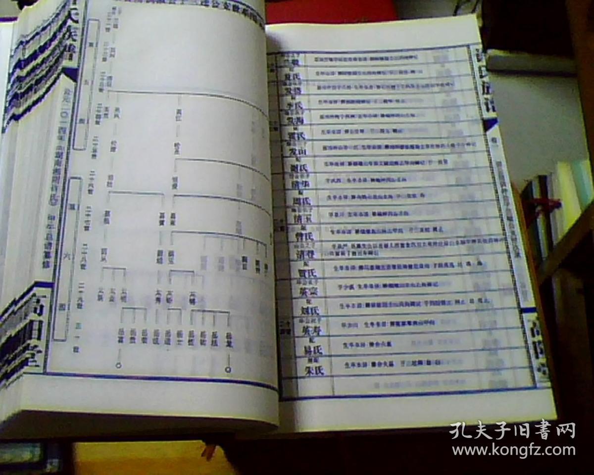湖南微山湘阴许氏族谱:高阳堂【1-14卷缺第4卷.