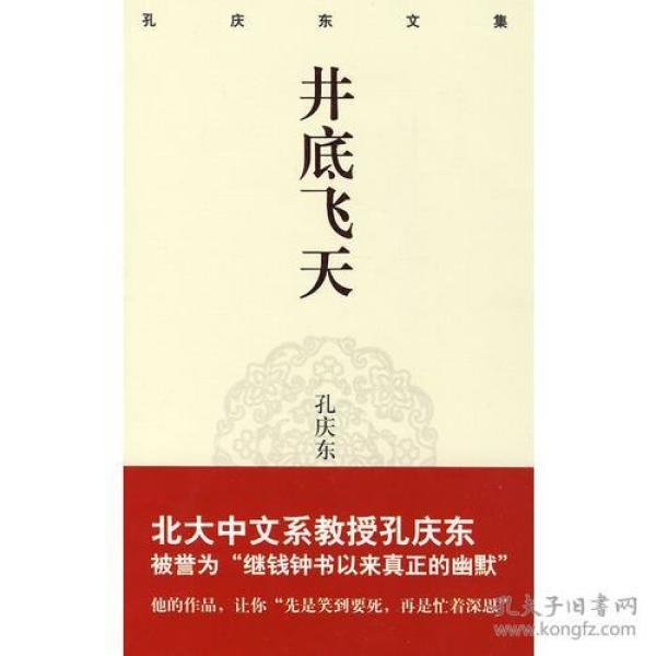孔庆东文集－井底飞天(精装版)