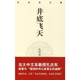 孔庆东文集－井底飞天(精装版)