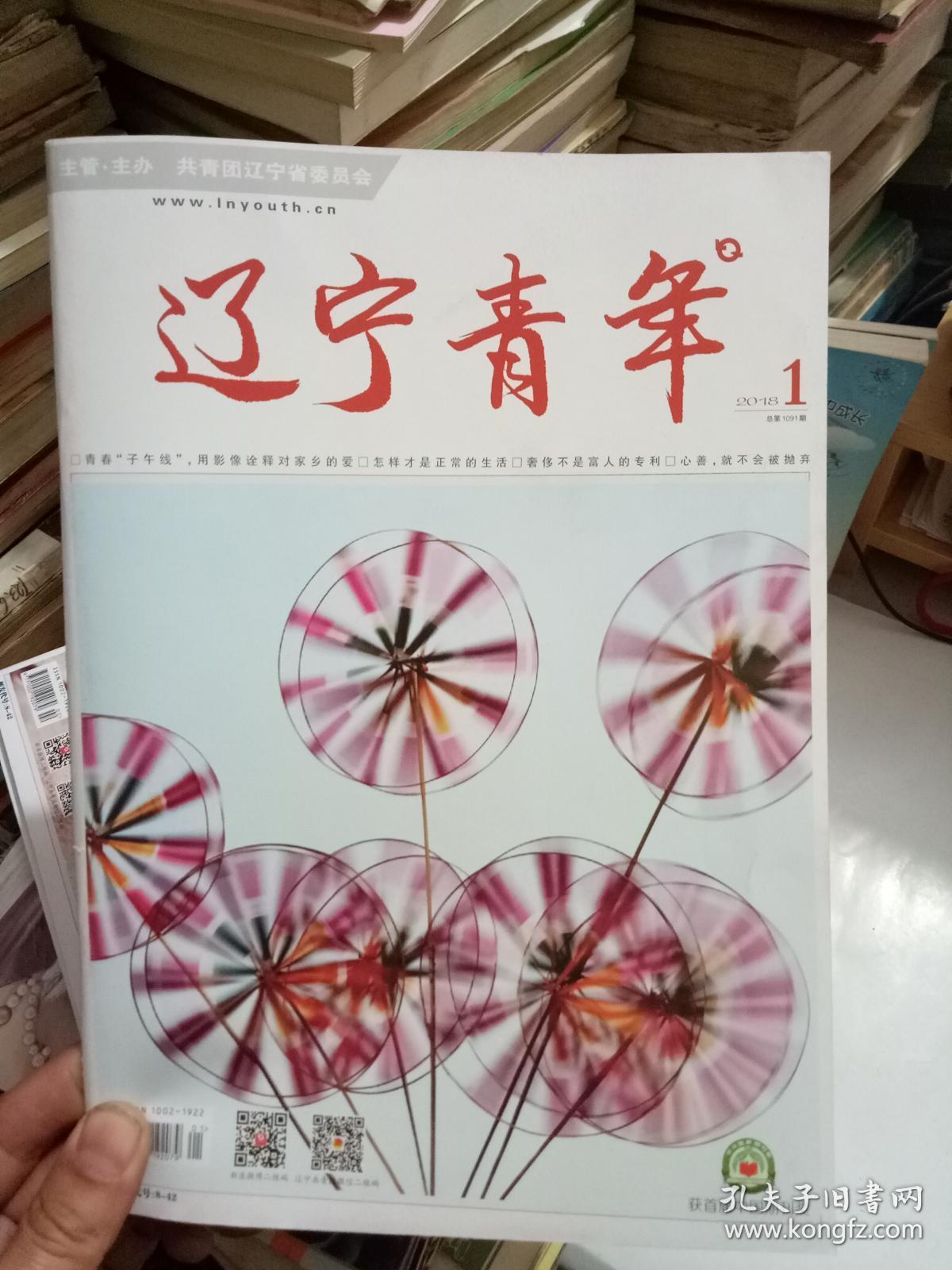 辽宁青年(2018年1期)_辽宁青年杂志社编_孔夫子旧书网