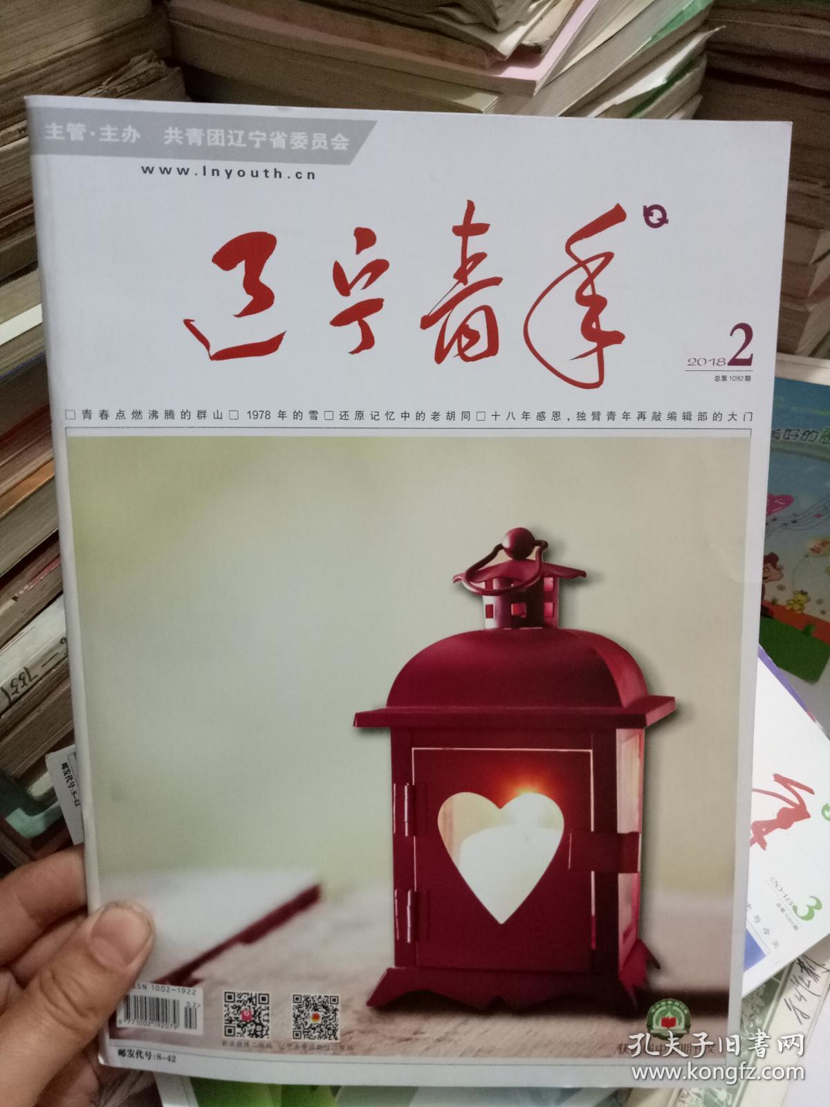 辽宁青年(2018年2期)_辽宁青年杂志社编_孔夫子旧书网