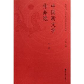 中国新文学作品选（下册）