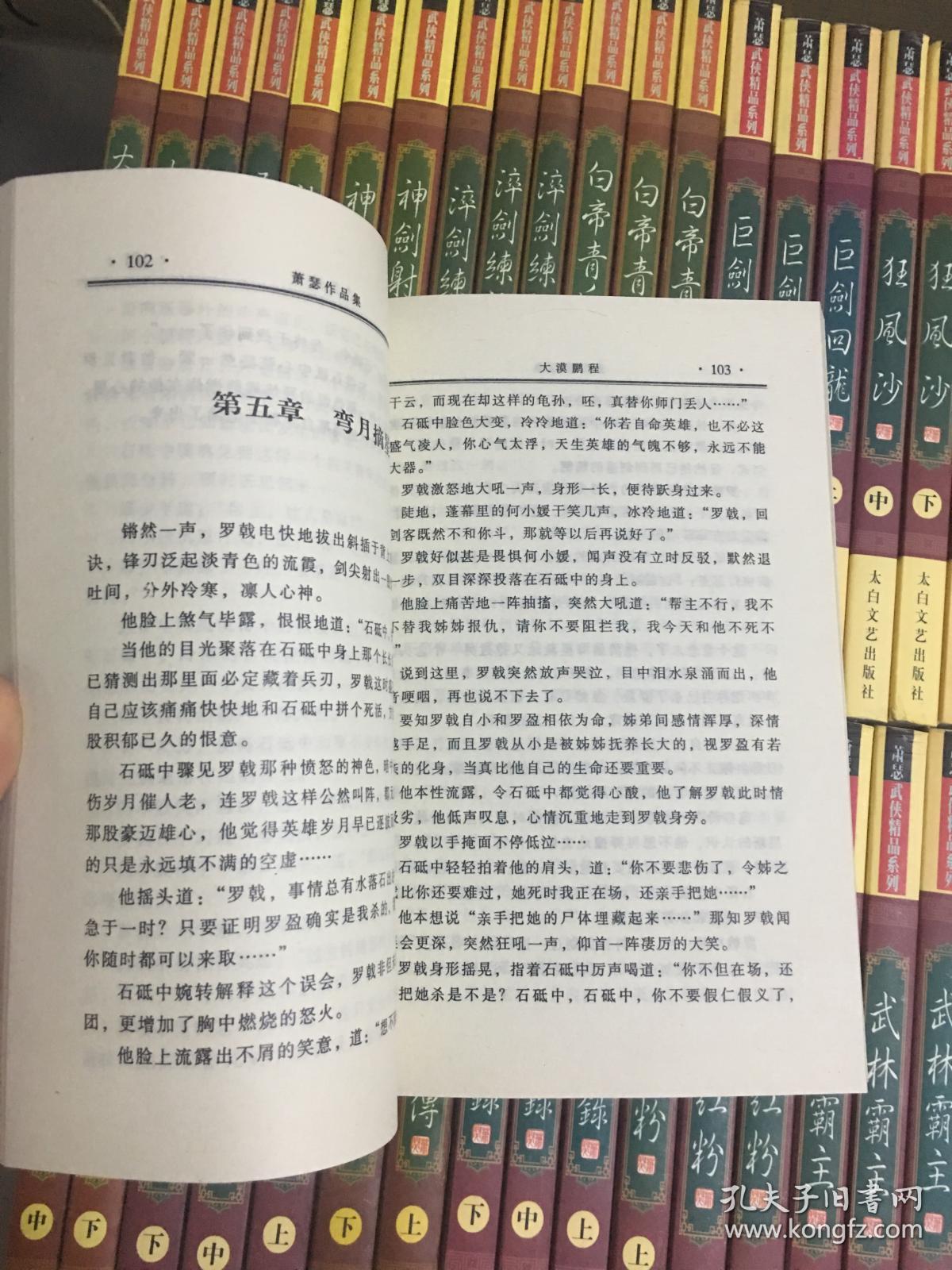 萧瑟武侠小说青衣修罗