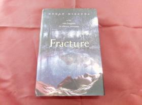 英文原版书   Fracture