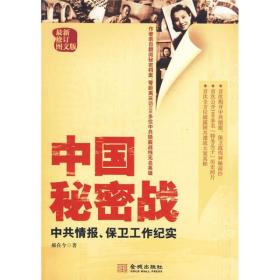 中国秘密战(16开平装 全1册)