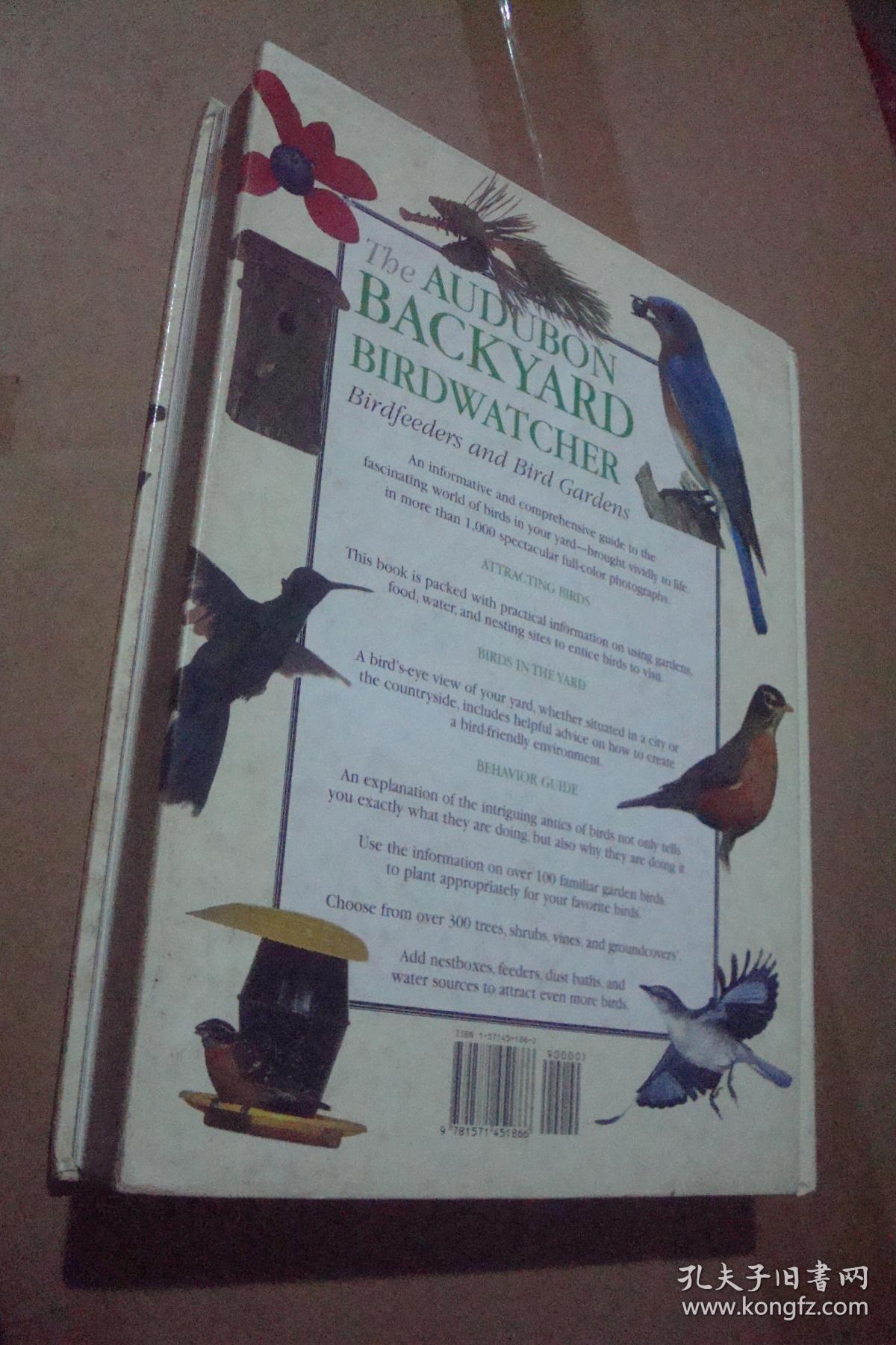 tbe audubon backyard birdwatcher