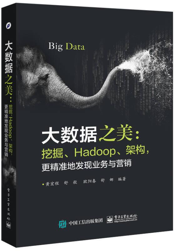大数据之美：挖掘、Hadoop、架构，更精准地发现业务与营销电子工业出版社黄宏程