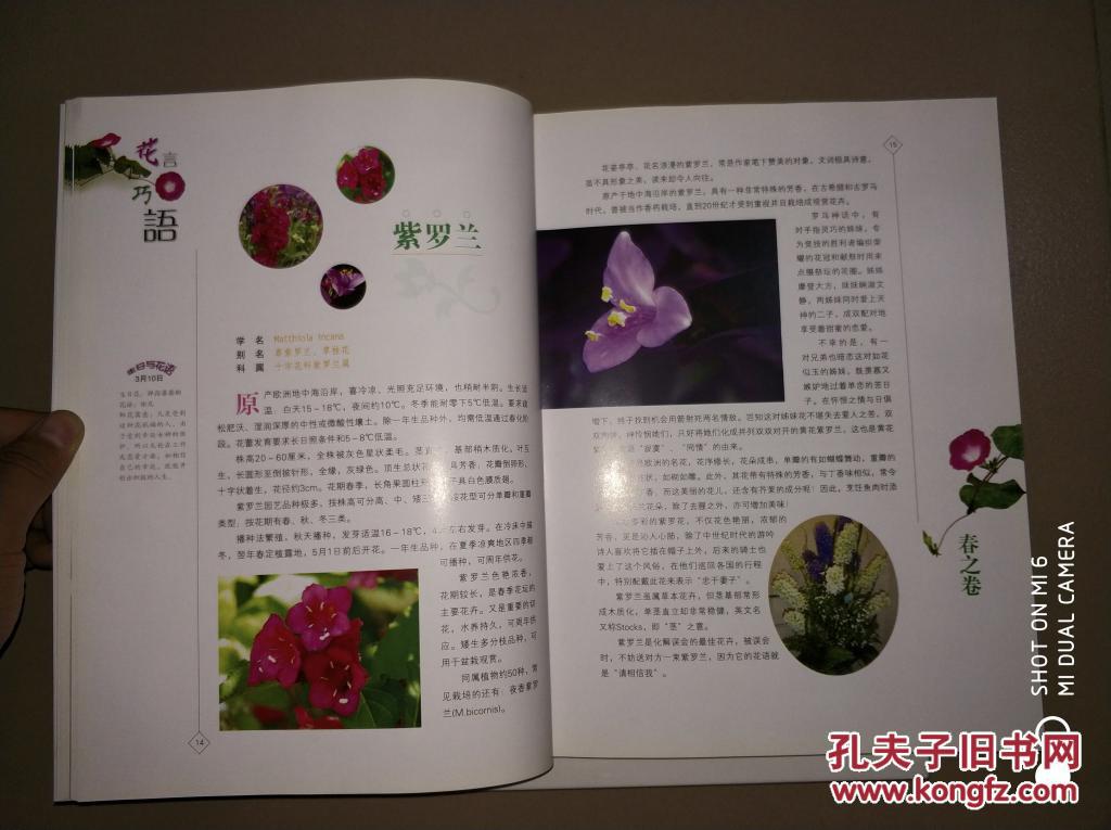 花言巧语(上下 二卷)(彩图版)正版 16开 精装本,一版一印.