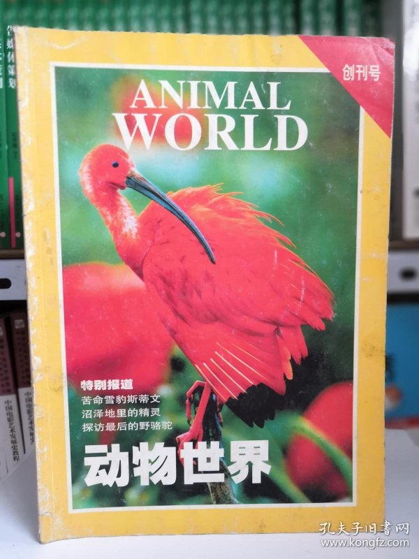 动物世界 创刊号.