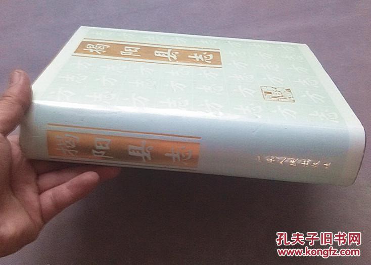 厚硬精装本:《揭阳县志》