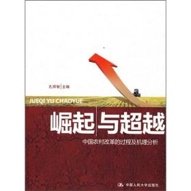 崛起与超越:中国农村改革的过程及机理分析