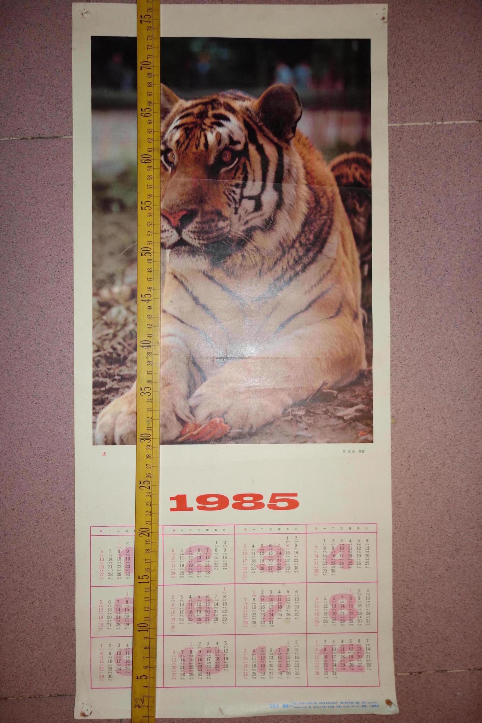 1985年年历画,虎