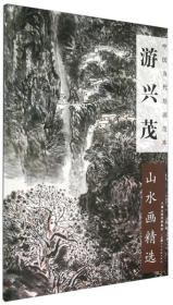 中国当代绘画范本：游兴茂山水画精选
（正版全新）