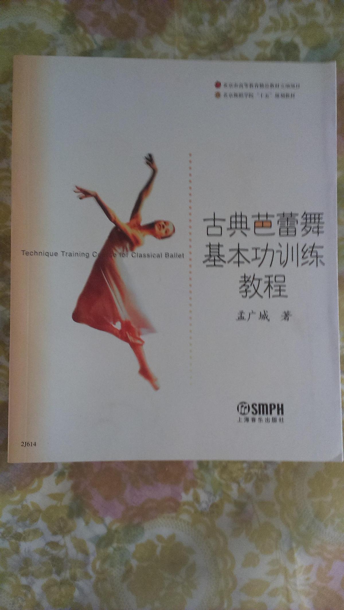 古典芭蕾舞基本功训练教程  （345页）