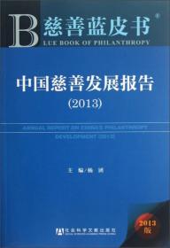 慈善蓝皮书：中国慈善发展报告（2013）