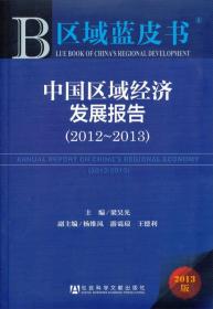 中国区域经济发展报告