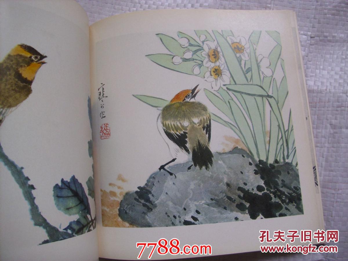 江寒汀百鸟图