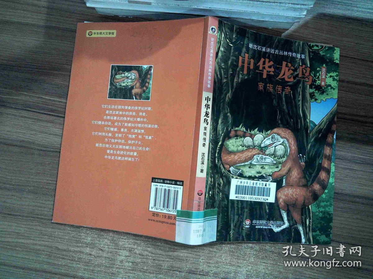 中华龙鸟家族传奇:听沈石溪讲远古丛林传奇故事