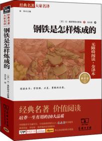 钢铁是怎样炼成的 全译本（少）